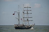 The Culture 2011 Tall Ships regatta 2011 08 21 126