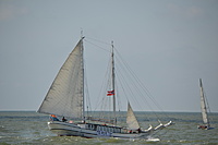 The Culture 2011 Tall Ships regatta 2011 08 21 170