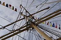 Klaipeda 2011 09 01 006