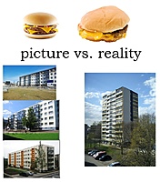 picture vs. reality