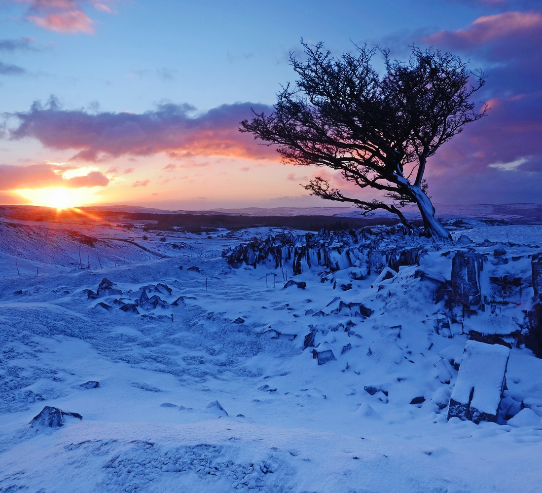 Click image for larger version

Name:	2200_sunrise-snow-lonely-tree-sky.jpg
Views:	280
Size:	394,0 kB
ID:	1577926