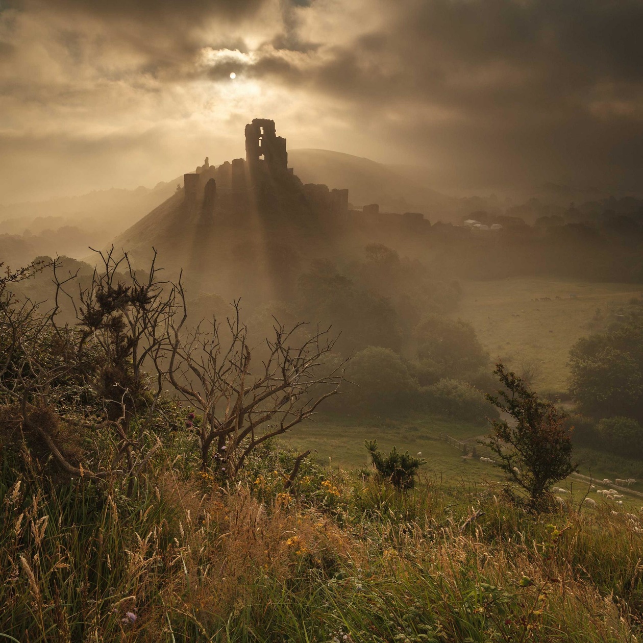 Click image for larger version

Name:	2000_corfe-summer-mist-copy-2__popup.jpg
Views:	279
Size:	559,7 kB
ID:	1577928