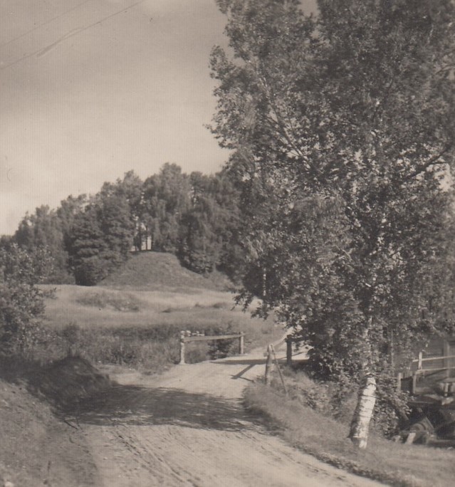 Click image for larger version

Name:	Piliakalnis.Dziugas.jpg
Views:	259
Size:	112,1 kB
ID:	1682213