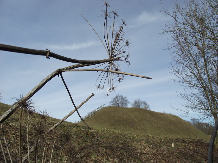 Click image for larger version

Name:	DSCF8233.JPG
Views:	237
Size:	180,7 kB
ID:	1702127