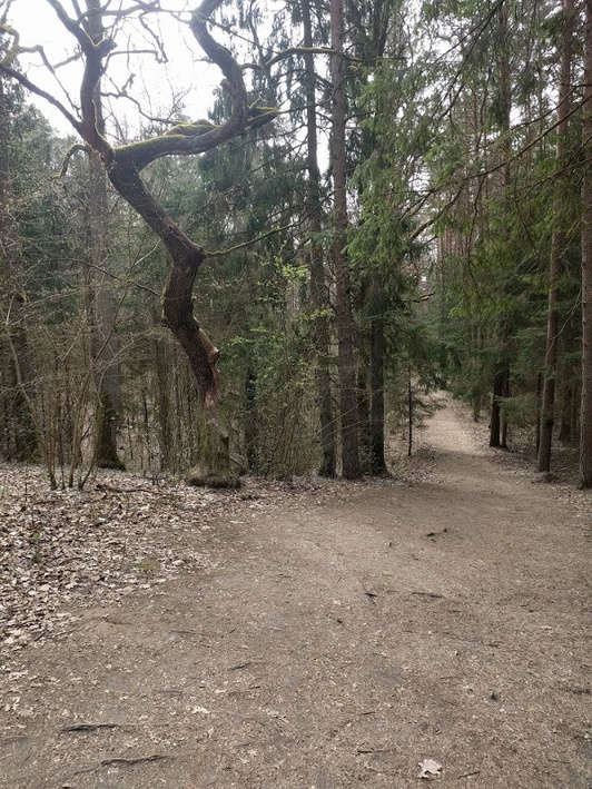 Click image for larger version

Name:	IMG_20190420_112112.jpg
Views:	470
Size:	248,8 kB
ID:	1717024