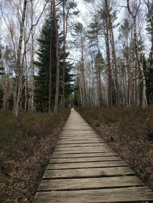 Click image for larger version

Name:	IMG_20190420_114238.jpg
Views:	479
Size:	250,3 kB
ID:	1717025