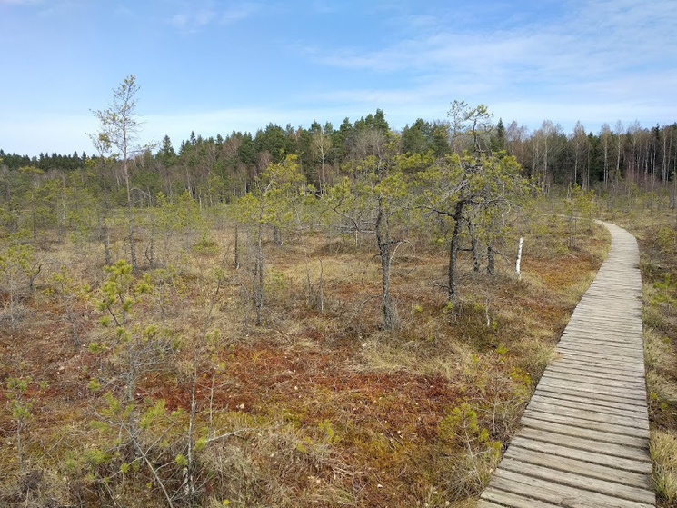 Click image for larger version

Name:	IMG_20190420_121510.jpg
Views:	466
Size:	249,1 kB
ID:	1717027