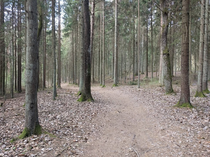 Click image for larger version

Name:	IMG_20190420_122922.jpg
Views:	474
Size:	245,5 kB
ID:	1717028