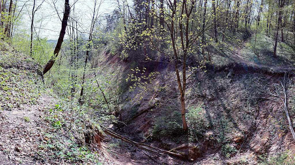 Click image for larger version

Name:	karolinisiudraustinis_2_20190427.jpg
Views:	570
Size:	575,3 kB
ID:	1718202