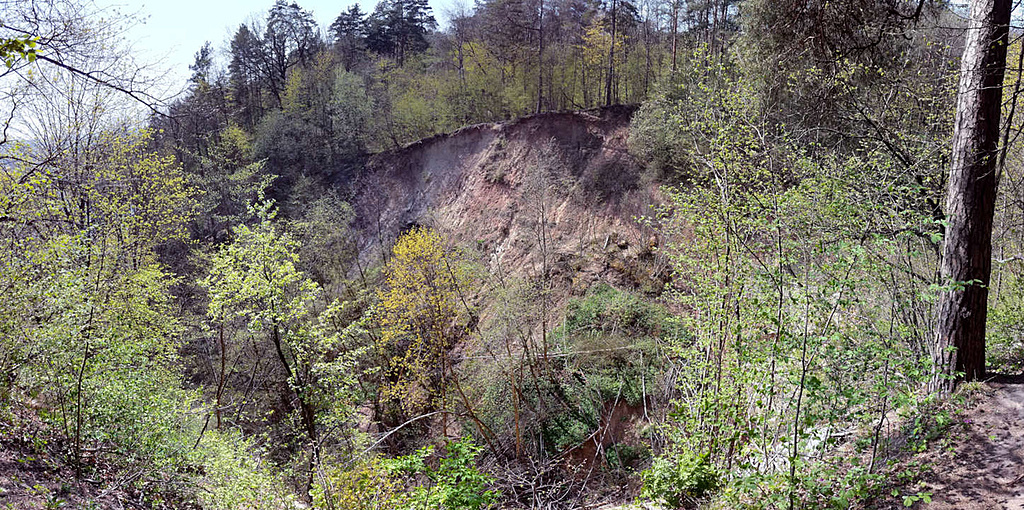 Click image for larger version

Name:	karolinisiudraustinis_3_20190427.jpg
Views:	554
Size:	624,9 kB
ID:	1718203