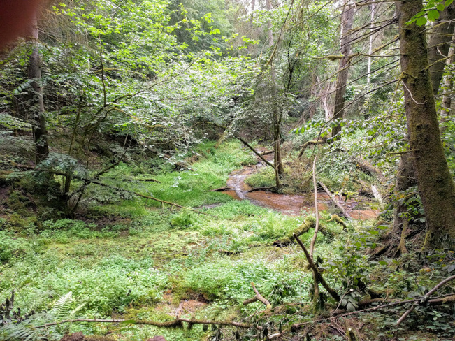 Click image for larger version

Name:	IMG_20190721_170650.jpg
Views:	174
Size:	286,2 kB
ID:	1738086