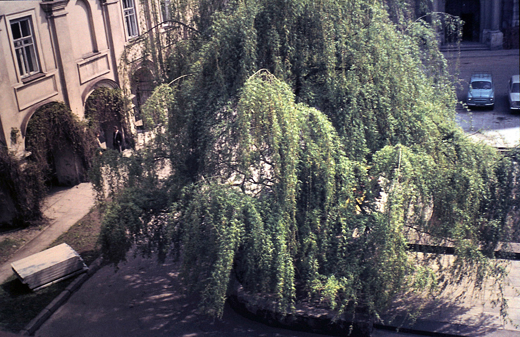 Click image for larger version

Name:	Vilnius37.JPG
Views:	1822
Size:	585,0 kB
ID:	1742399