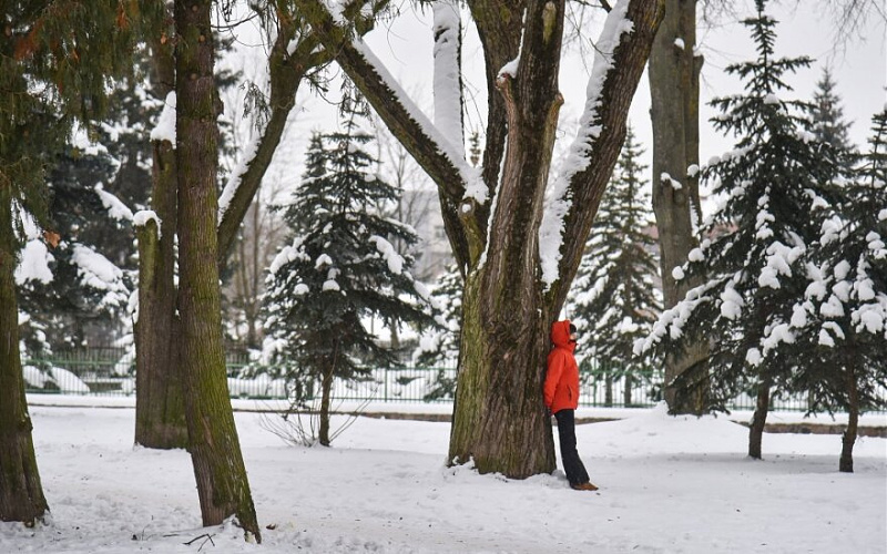 Click image for larger version

Name:	jaunimo-parkas-panevezyje-86295207.jpg
Views:	1055
Size:	230,4 kB
ID:	1858521