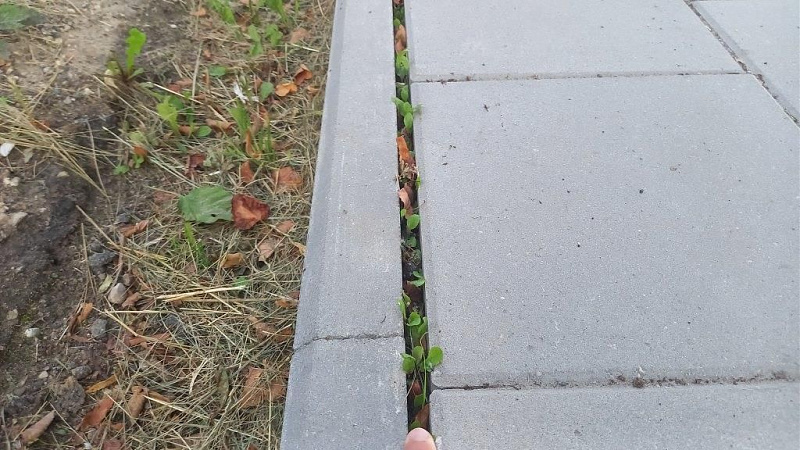 Click image for larger version

Name:	00002 (14).jpg
Views:	1207
Size:	141,4 kB
ID:	1984655