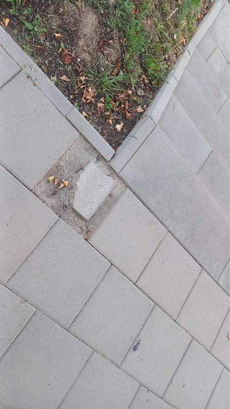 Click image for larger version

Name:	00002 (59).jpg
Views:	1179
Size:	116,8 kB
ID:	1984697