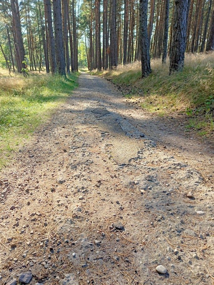 Click image for larger version

Name:	Neringa_dviračių_takas_IMG20220827170407.jpg
Views:	1045
Size:	258,2 kB
ID:	1997648