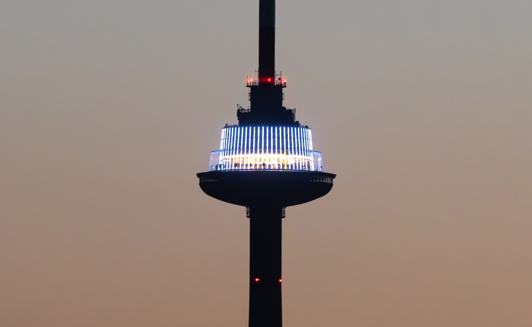 Click image for larger version

Name:	IMG_5166-crop.jpg
Views:	1898
Size:	101,5 kB
ID:	2153372