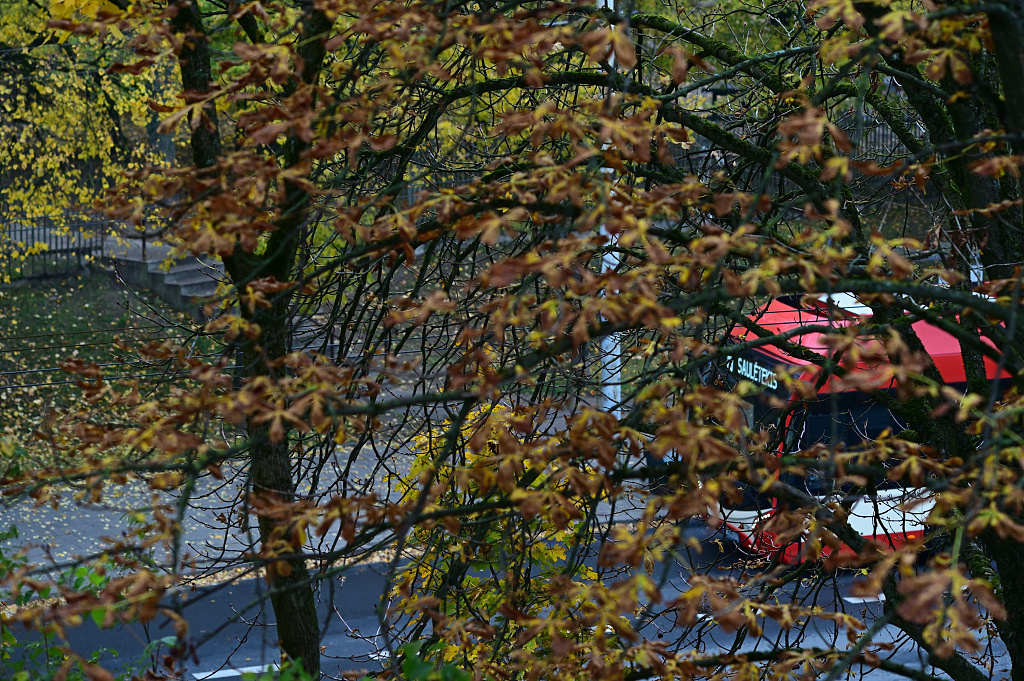 Click image for larger version

Name:	DSC_2412_317.JPG
Views:	1965
Size:	1,03 MB
ID:	2174861