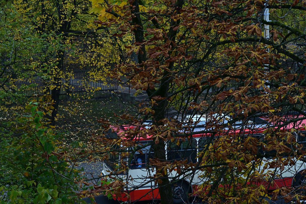 Click image for larger version

Name:	DSC_2415_318.JPG
Views:	1951
Size:	1,12 MB
ID:	2174862