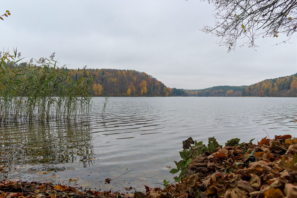 Click image for larger version

Name:	4_verkių_rp_20241026.jpg
Views:	277
Size:	455,4 kB
ID:	2183775