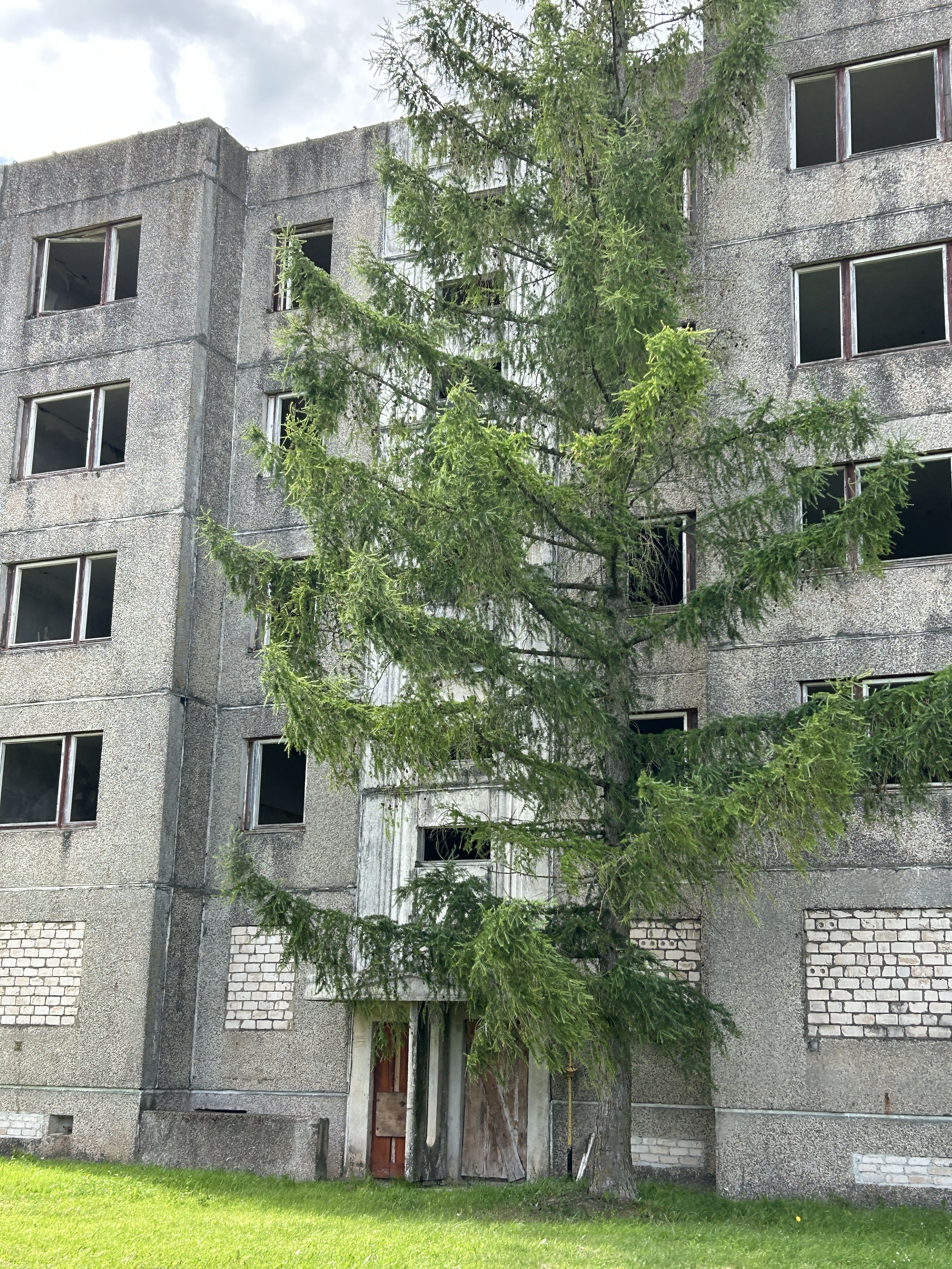 Click image for larger version  Name:	IMG_2485.jpeg Views:	0 Size:	3,14 MB ID:	2207815