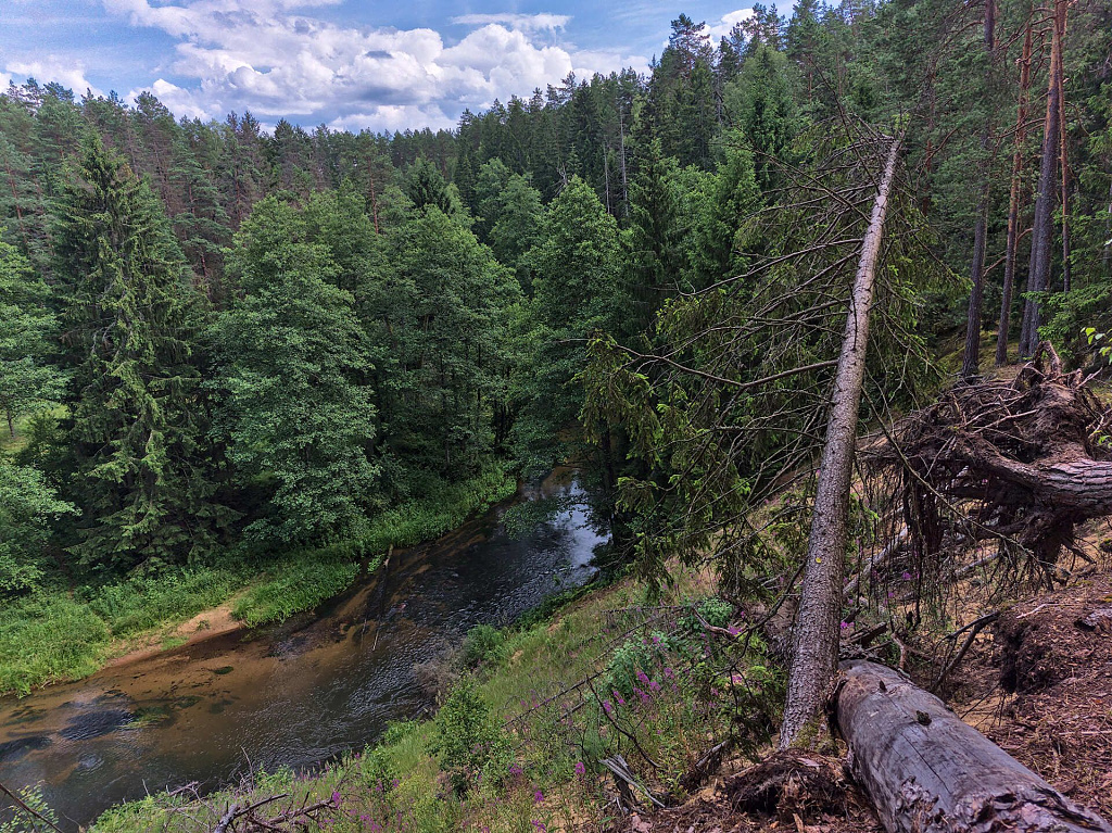 Click image for larger version

Name:	15_mančiagirė_20250708.jpg
Views:	115
Size:	821,0 kB
ID:	2209346