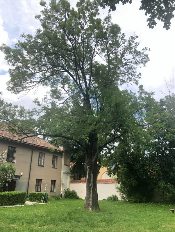 Click image for larger version

Name:	Screenshot 2025-07-22 135906.jpg
Views:	412
Size:	454,9 kB
ID:	2211535