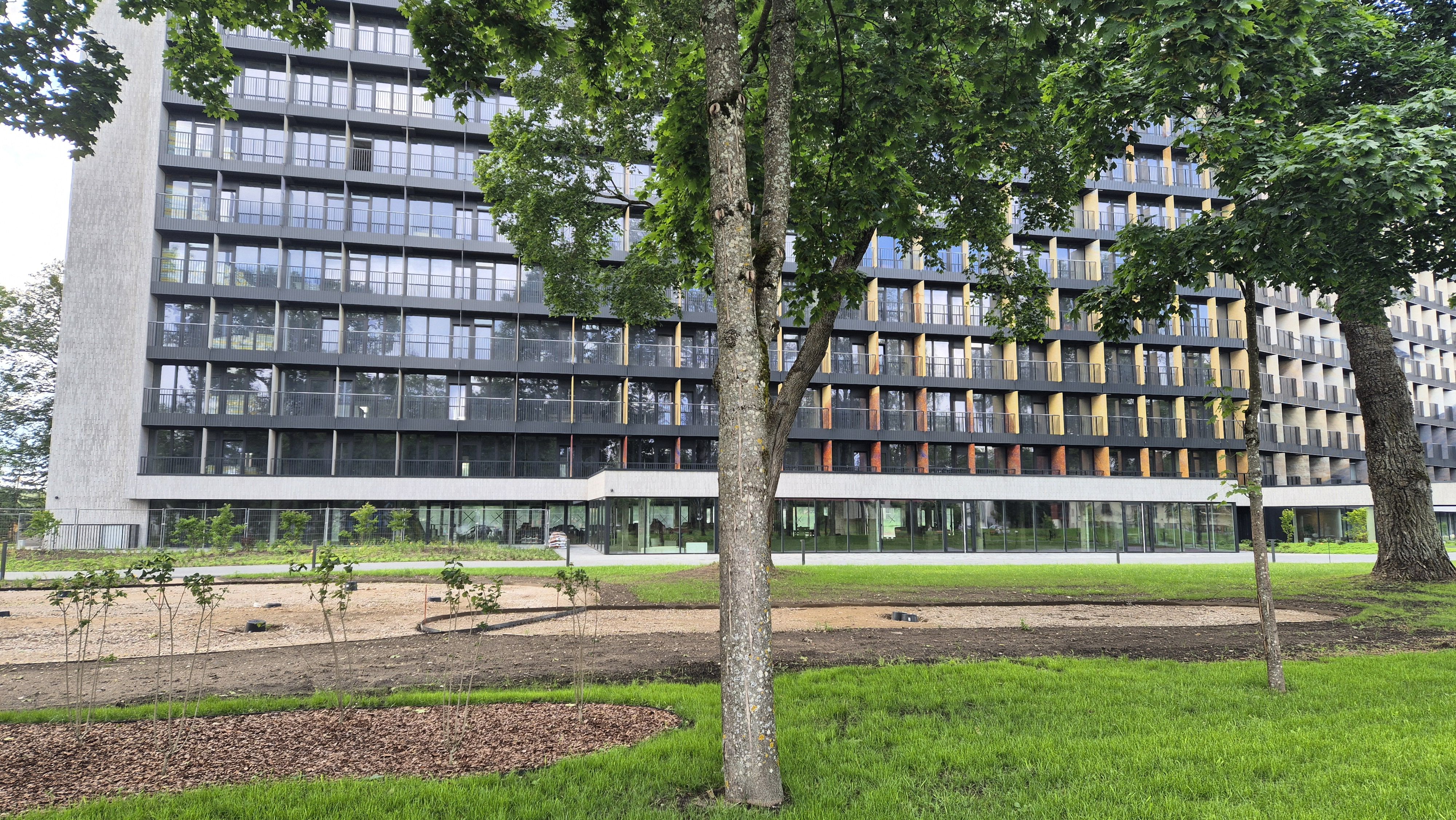 Click image for larger version

Name:	20250719_143412.jpg
Views:	1079
Size:	2,33 MB
ID:	2212192