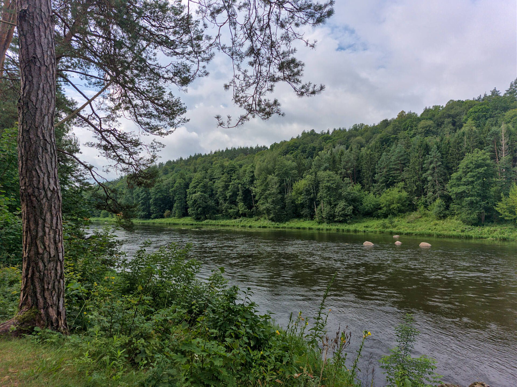 Click image for larger version

Name:	09_užkeiktos_vestuvės_20250726.jpg
Views:	240
Size:	592,0 kB
ID:	2212647