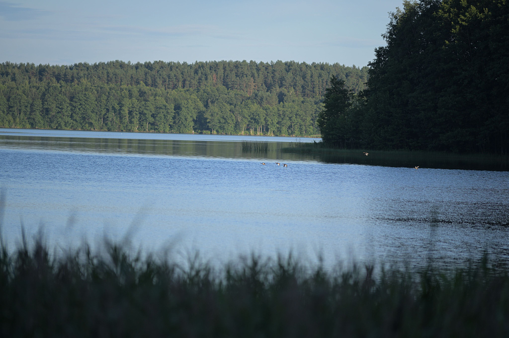 Click image for larger version

Name:	DSC_0685.JPG
Views:	309
Size:	850,5 kB
ID:	2212883