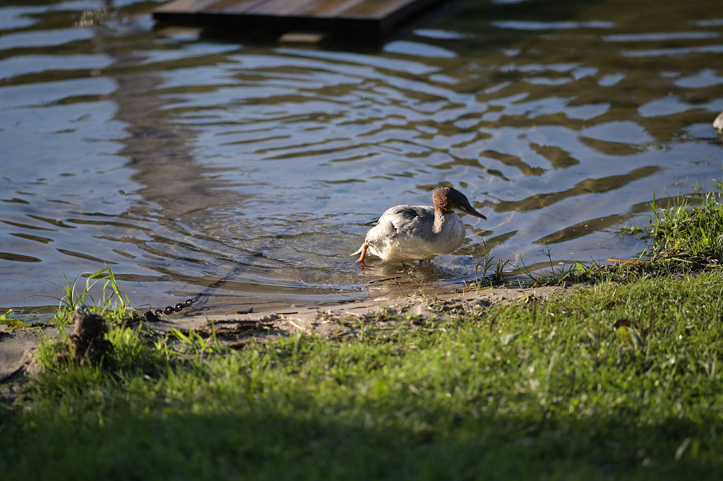 Click image for larger version

Name:	DSC_0654.JPG
Views:	310
Size:	956,5 kB
ID:	2212886