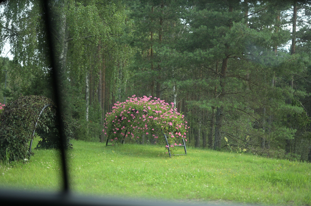 Click image for larger version

Name:	DSC_0752.JPG
Views:	159
Size:	1,39 MB
ID:	2213005