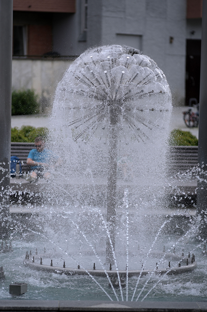 Click image for larger version

Name:	DSC_0704.JPG
Views:	158
Size:	1,70 MB
ID:	2213008