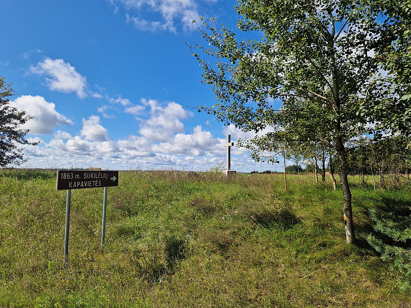 Click image for larger version  Name:	20250827_120944.jpg Views:	0 Size:	3,18 MB ID:	2217198