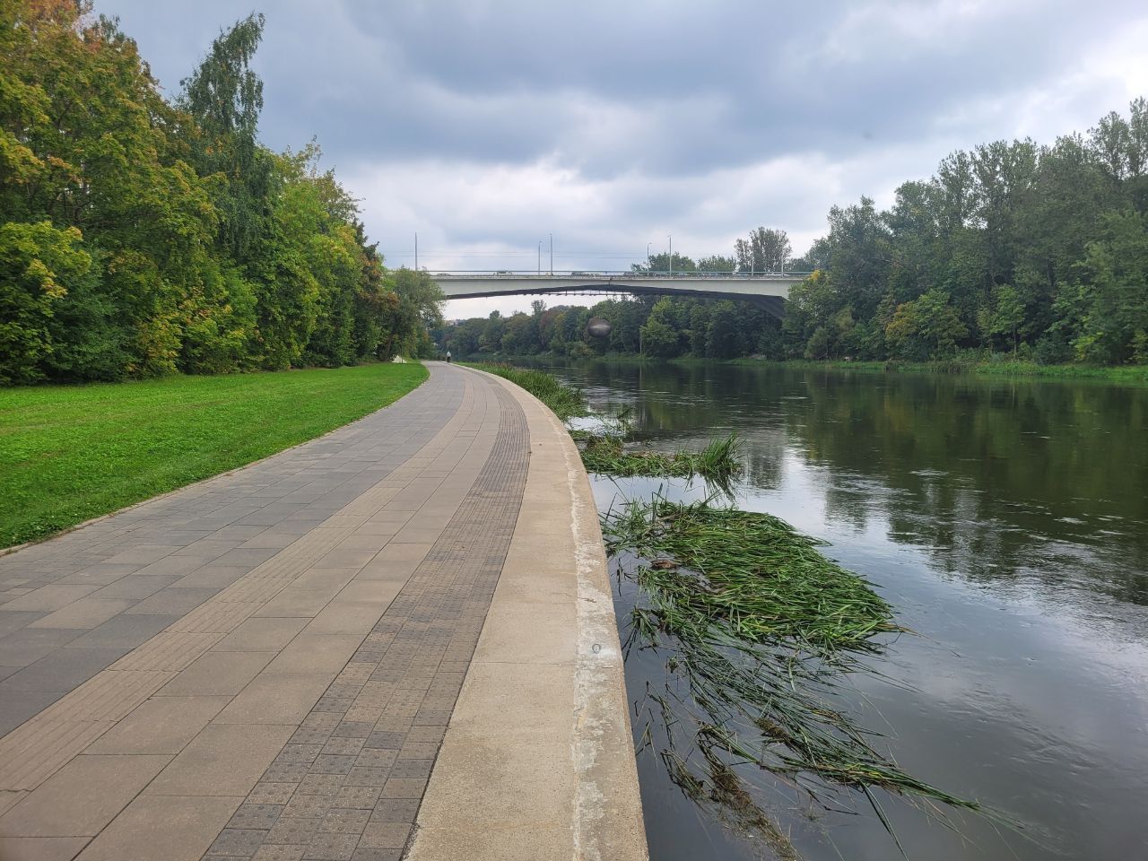 Click image for larger version

Name:	photo_2025-09-04_12-50-10.jpg
Views:	424
Size:	234,5 kB
ID:	2218500