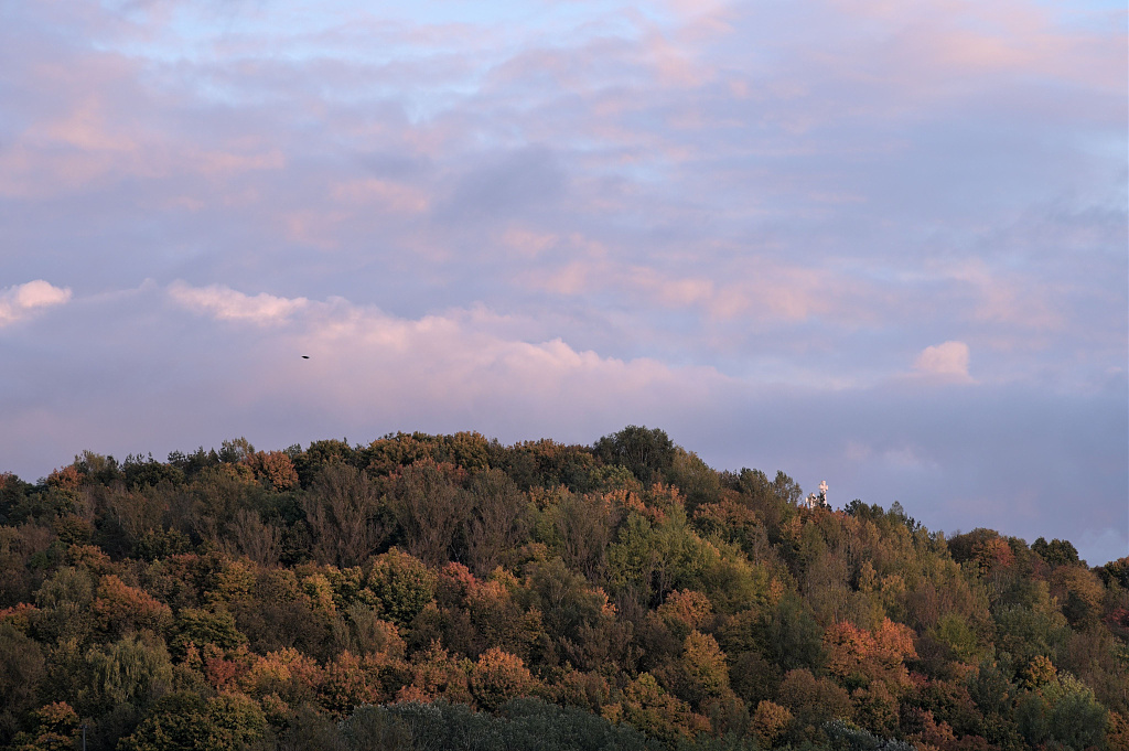 Click image for larger version

Name:	DSC_2605.JPG
Views:	56
Size:	1,02 MB
ID:	2224528