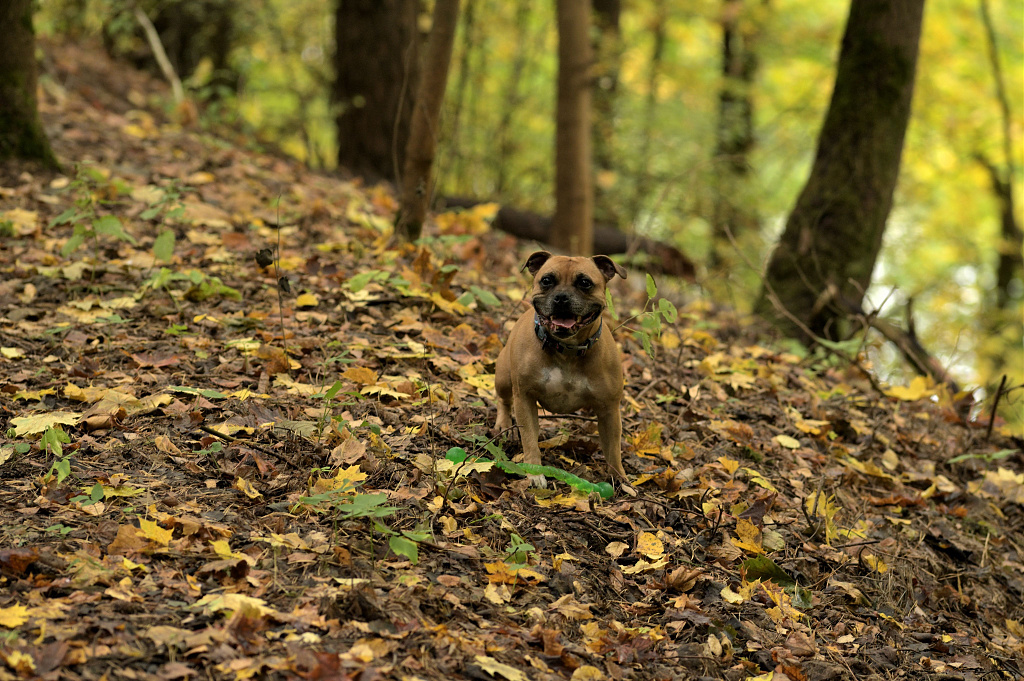 Click image for larger version

Name:	DSC_2740.JPG
Views:	54
Size:	1,39 MB
ID:	2224530