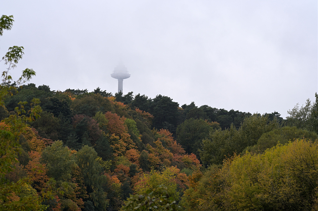 Click image for larger version

Name:	DSC_2705.JPG
Views:	54
Size:	1,20 MB
ID:	2224534