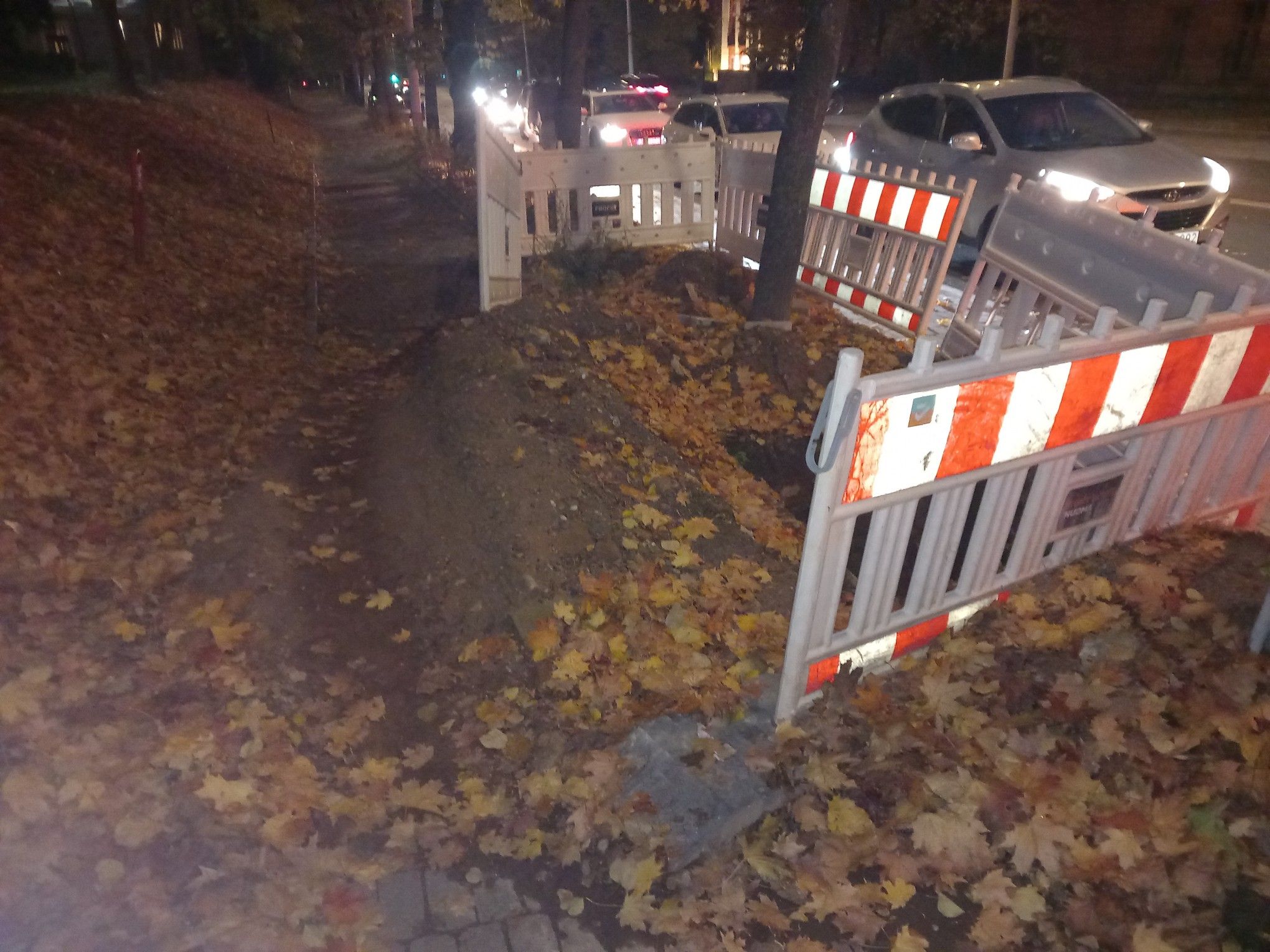 Click image for larger version  Name:	IMG_20251016_185239.jpg Views:	533 Size:	411,5 kB ID:	2226153