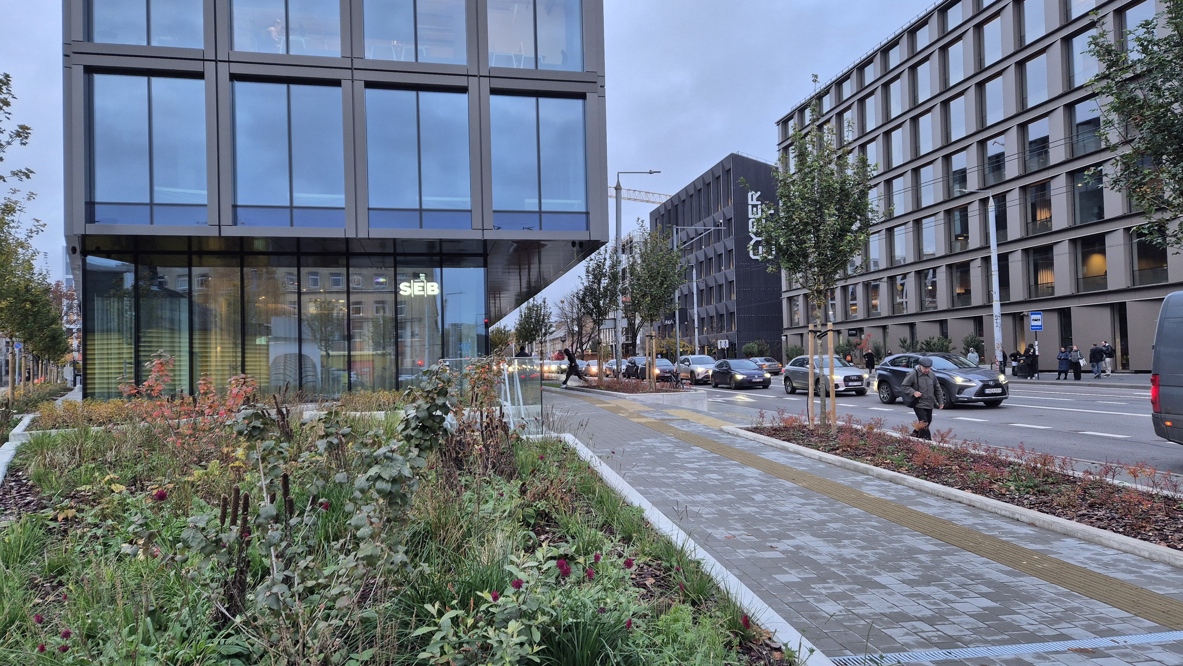 Click image for larger version

Name:	20251029_163644.jpg
Views:	418
Size:	1,89 MB
ID:	2227557