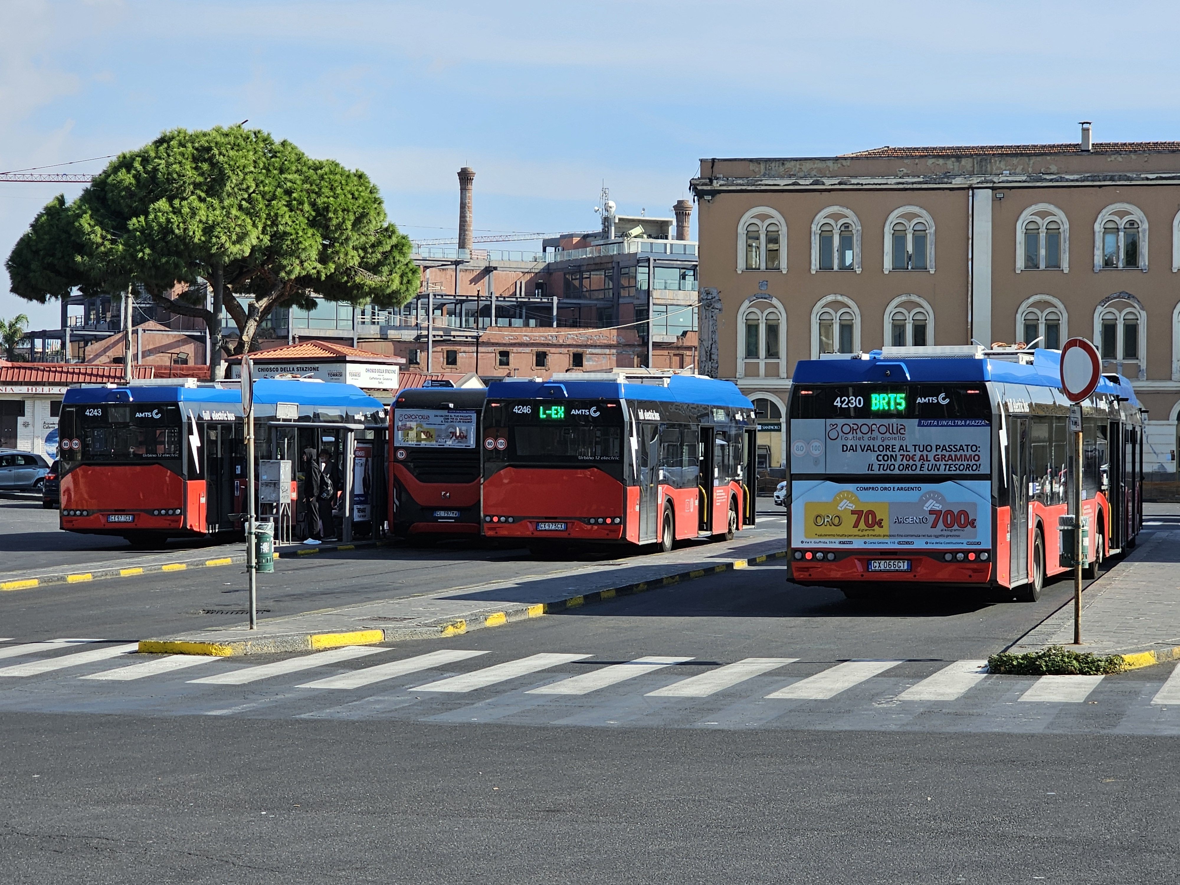 Click image for larger version

Name:	IMG_20251014_102241.jpg
Views:	145
Size:	1,69 MB
ID:	2228187