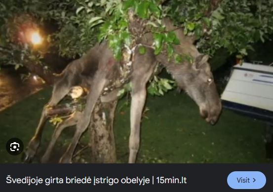 Click image for larger version

Name:	Capture.JPG
Views:	406
Size:	34,3 kB
ID:	2229071