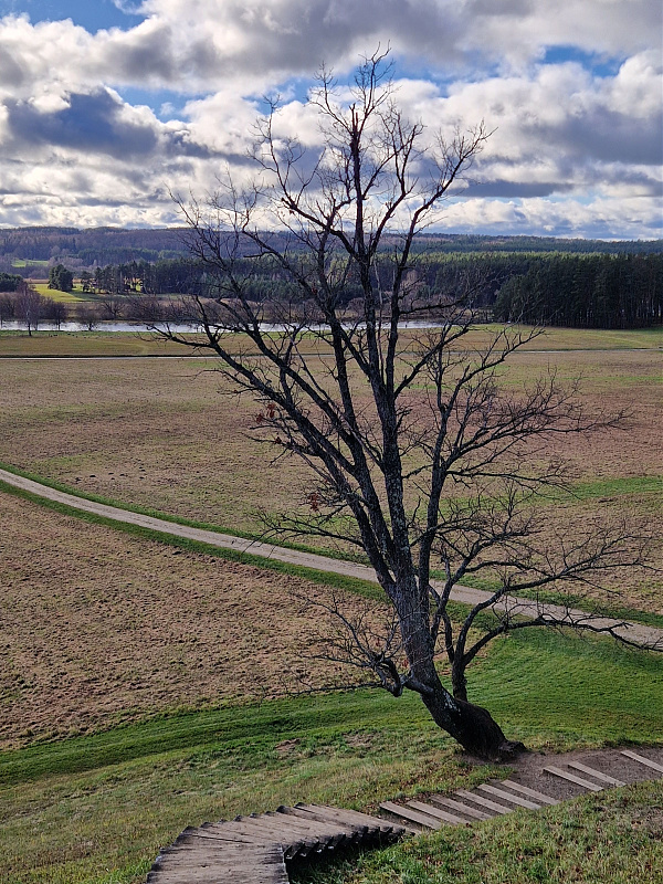 Click image for larger version

Name:	20251115_133002.jpg
Views:	39
Size:	2,03 MB
ID:	2230175