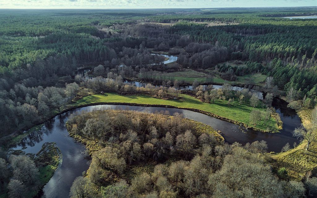 Click image for larger version

Name:	14_merkys_2025111.jpg
Views:	40
Size:	527,7 kB
ID:	2230239