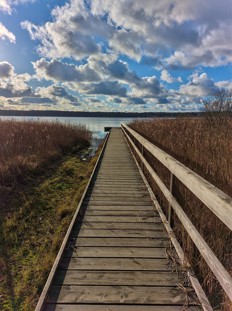 Click image for larger version

Name:	15_glėbas_2025111.jpg
Views:	41
Size:	583,7 kB
ID:	2230240