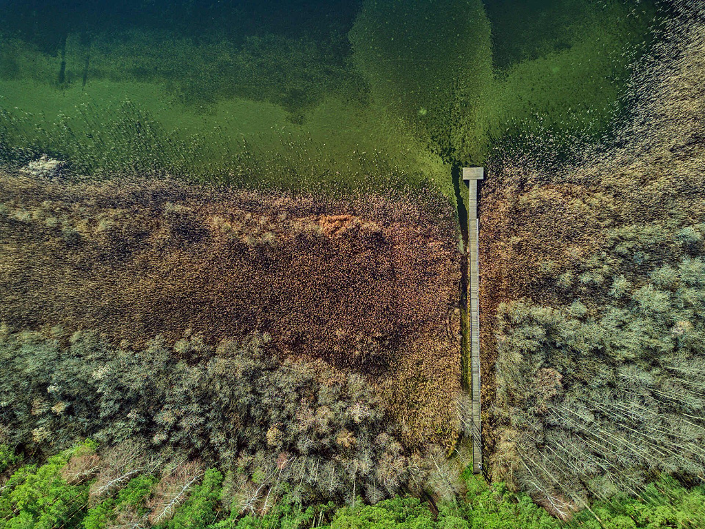 Click image for larger version

Name:	18_glėbas_2025111.jpg
Views:	40
Size:	853,1 kB
ID:	2230241