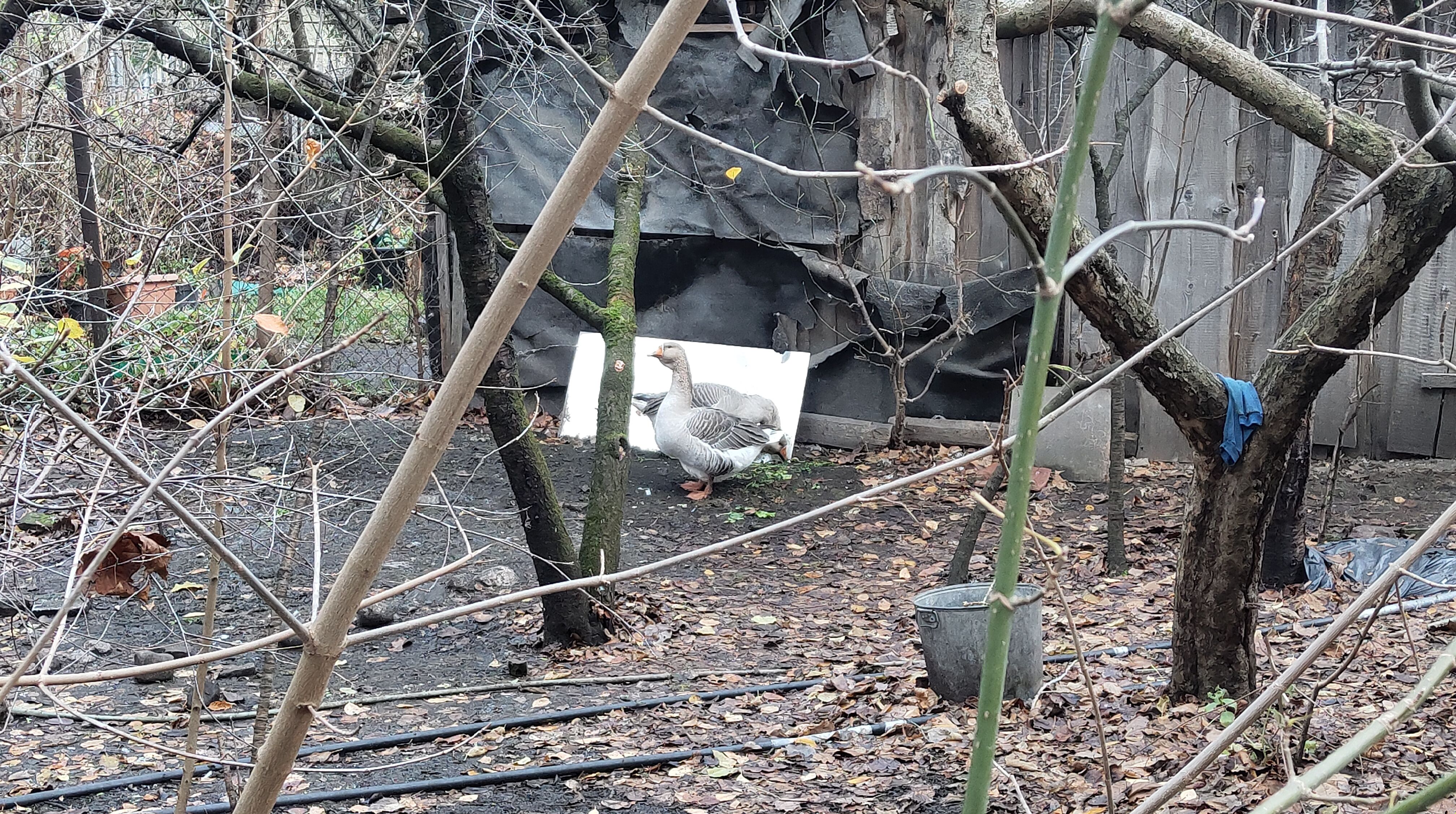 Click image for larger version

Name:	P51116-143114.jpg
Views:	273
Size:	2,10 MB
ID:	2233050