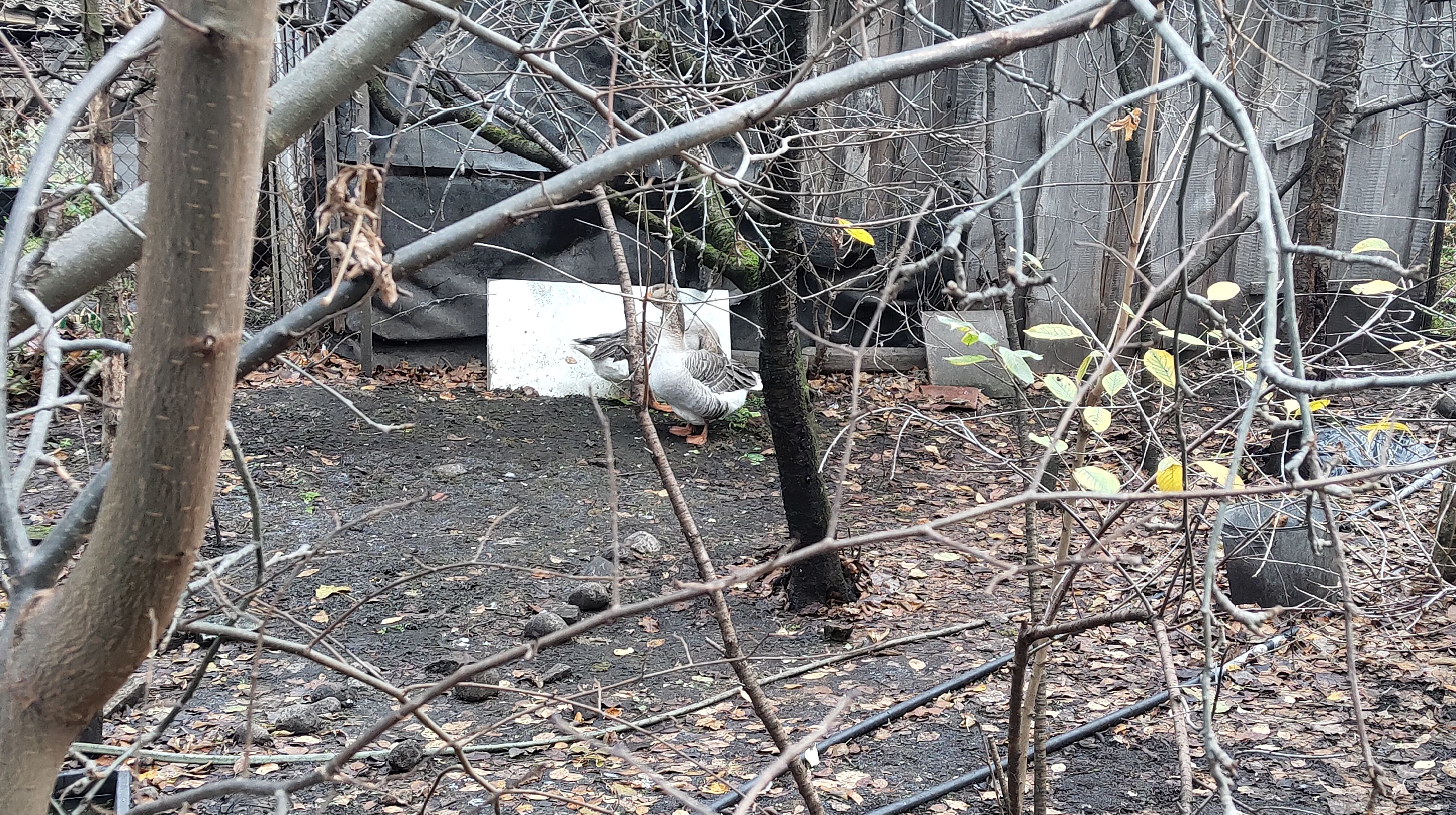 Click image for larger version

Name:	P51116-143031.jpg
Views:	259
Size:	2,14 MB
ID:	2233051