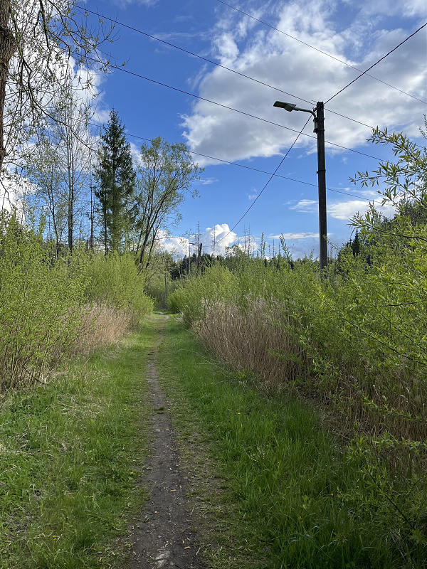 Click image for larger version

Name:	IMG_5521.jpeg
Views:	152
Size:	2,77 MB
ID:	2233105