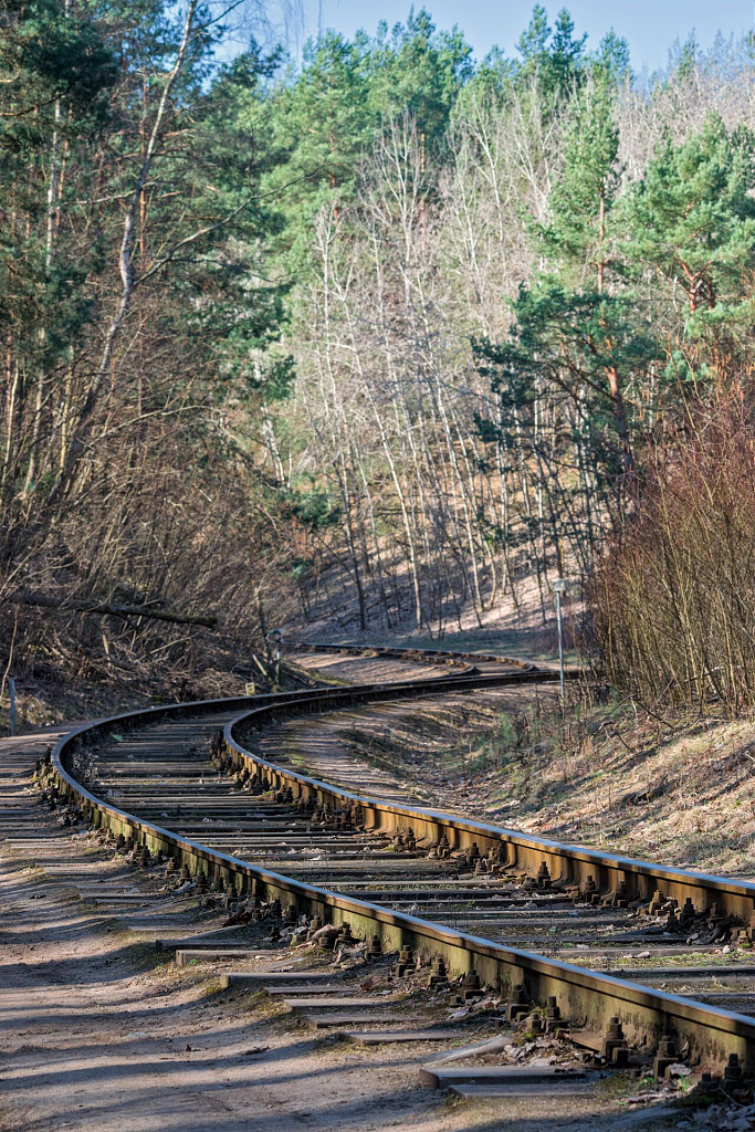 Click image for larger version

Name:	bėgiai.jpg
Views:	181
Size:	588,3 kB
ID:	2233265